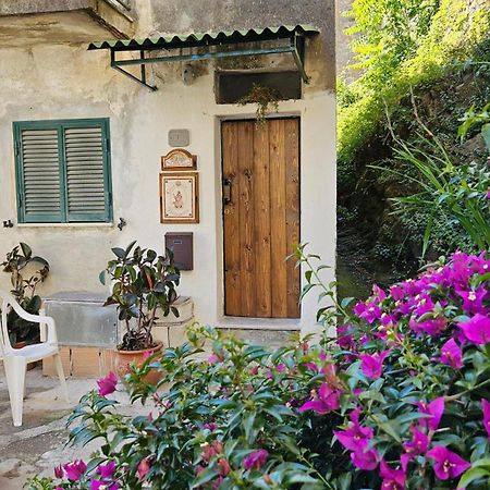 Appartamento Nel Borgo - Casa Del Pellegrino Sulla Via Francigena Aulla Ngoại thất bức ảnh